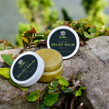 Load image into Gallery viewer, Muscle Balm - Full Spectrum Relief Balm
